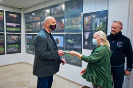 Elbląskie parki na zdjęciach mieszkańców