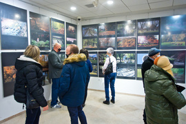 Elbląskie parki na zdjęciach mieszkańców