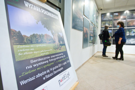 Elbląskie parki na zdjęciach mieszkańców