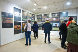 Elbląskie parki na zdjęciach mieszkańców