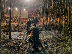 Uratowali migrantów na bagnach