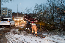 Drzewo spadło na dwie osoby. Wichura daje się we znaki