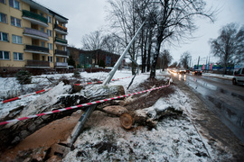 Drzewo spadło na dwie osoby. Wichura daje się we znaki