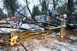 Drzewo spadło na dwie osoby. Wichura daje się we znaki