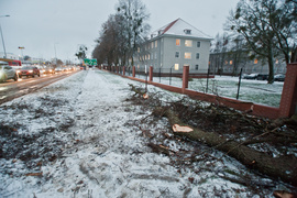 Drzewo spadło na dwie osoby. Wichura daje się we znaki