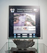 Wojenne znaleziska z zachodniego wybrzeża