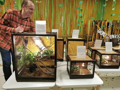 Taka lekcja prehistorii tylko w Żłobku i Przedszkolu Mały Europejczyk w Elblągu