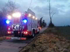 Silnie wiało w Elblągu i powiecie. Strażacy interweniowali kilkadziesiąt razy  (aktualizacja) 