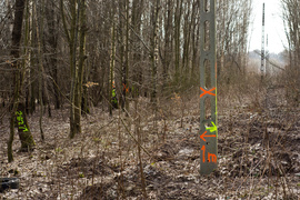 Masowe znakowanie drzew przy Wschodniej. Po co? Masowe znakowanie drzew przy Wschodniej. Po co?