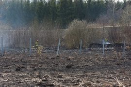 Pożar traw w Gronowie Górnym