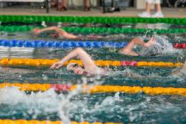 Wiosenny kraul i motylek