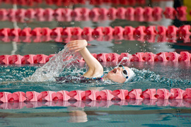 Wiosenny kraul i motylek