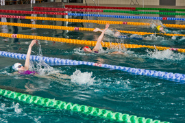 Wiosenny kraul i motylek