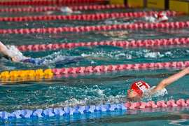 Wiosenny kraul i motylek