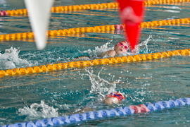 Wiosenny kraul i motylek