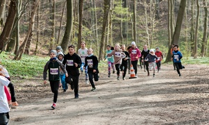 Długodystansowo po Wysoczyźnie Elbląskiej