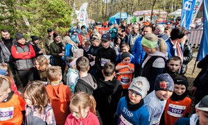 Długodystansowo po Wysoczyźnie Elbląskiej