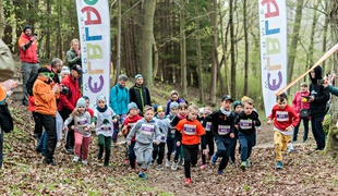 Długodystansowo po Wysoczyźnie Elbląskiej