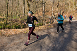 Długodystansowo po Wysoczyźnie Elbląskiej