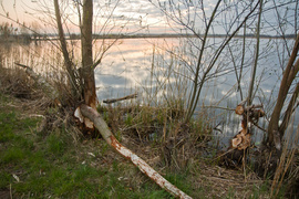 Zamiast spania okazja przyrody podziwiania