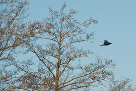 Zamiast spania okazja przyrody podziwiania