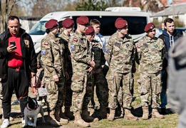 Fosa na wysoki połysk