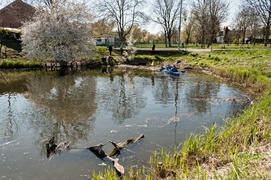 Fosa na wysoki połysk