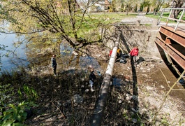 Fosa na wysoki połysk