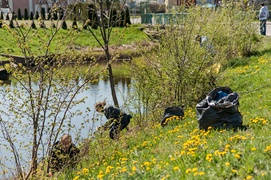 Fosa na wysoki połysk