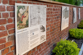 Zanurkować w muzeum