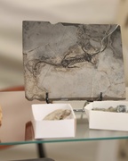 Wyjątkowe wydarzenie po raz pierwszy w mieście! Wyjątkowe wydarzenie po raz pierwszy w mieście!