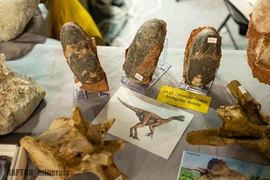 Wyjątkowe wydarzenie po raz pierwszy w mieście! Wyjątkowe wydarzenie po raz pierwszy w mieście!