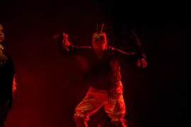 Ptasie opowieści w elbląskim teatrze