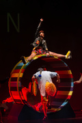 Ptasie opowieści w elbląskim teatrze