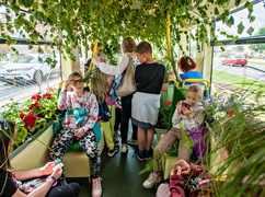 \"Tramwaj zielony przez ulice mego miasta mknie...\"