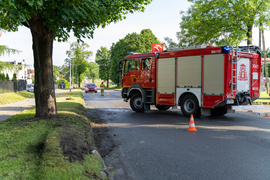 Pasłęk. Kierowca uderzył w drzewo