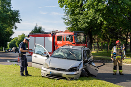 Pasłęk. Kierowca uderzył w drzewo