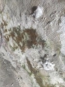 \"Grzyb w mieszkaniu zabija moje dziecko\"