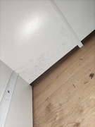 \"Grzyb w mieszkaniu zabija moje dziecko\"