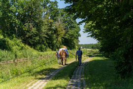 Tratwa, klacz i kanał