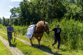 Tratwa, klacz i kanał