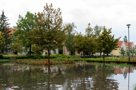  Wichry i burze w Elblągu  zdjęcie nr 264269