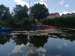 Kajakiem wokół Wyspy Spichrzów  (portEl testuje) 