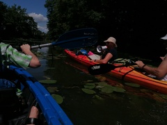 Kajakiem wokół Wyspy Spichrzów  (portEl testuje) 