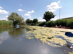 Kajakiem wokół Wyspy Spichrzów  (portEl testuje) 