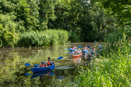 Kajakiem wokół Wyspy Spichrzów  (portEl testuje) 