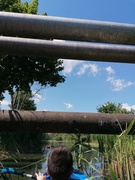 Kajakiem wokół Wyspy Spichrzów  (portEl testuje) 