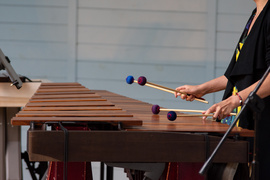 Dalbergia Duo w Letnim Salonie Muzycznym