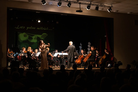 I dwa bisy to za mało