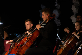 I dwa bisy to za mało